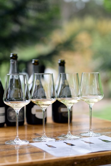Sparkling and Champagne Masterclass 1