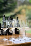 Sparkling and Champagne Masterclass